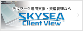 SKYSEA