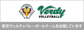 VERDY VOLLEYBALL